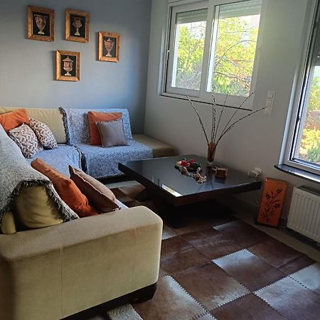 Apartmán Lefkothea'S House Atény Exteriér fotografie